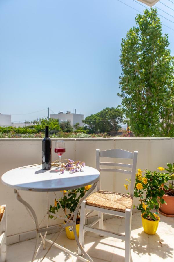 Apanemi Beachhouse Naxos City Exteriér fotografie